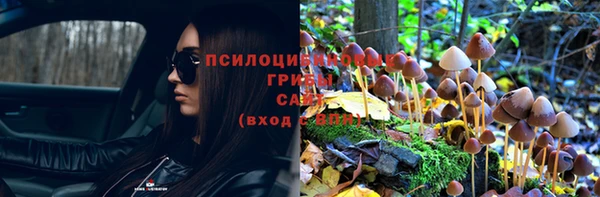 прущая мука Пестово